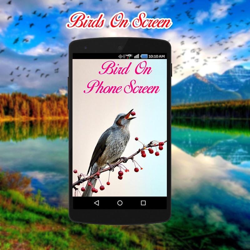 Emulate Android APK Birds on screen | Prank app Emulate Android APK Birds on screen | Prank app